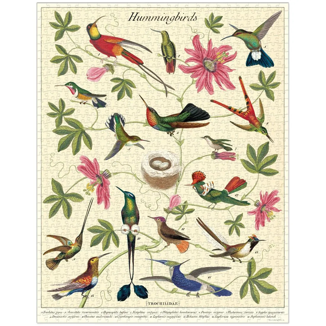 Puzzle "Hummingbirds" 1000 Piezas